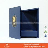 Mẫu hộp Triễn lãm PrintPack2022-NLP015