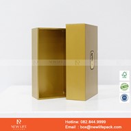 Mẫu hộp Triễn lãm PrintPack2022-NLP037