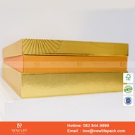 Hộp Đựng Tổ Yến Tinh Chế Cao Cấp - Nest Art - Kiểu Hộp Vuông Nắp Liền Đáy