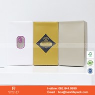 Mẫu hộp Triễn lãm PrintPack2022-NLP030