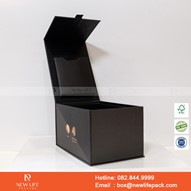 Mẫu Hộp Quà Tặng TRI Pollar